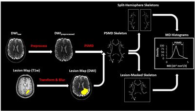 Peak width of skeletonized mean diffusivity and cognitive performance in cerebral amyloid angiopathy